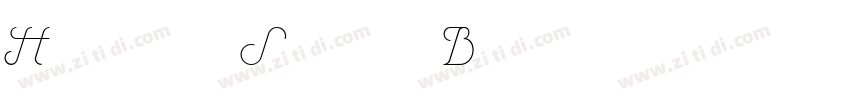 Henry Sans Black字体转换